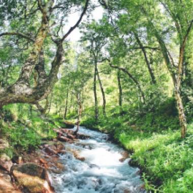 SARKENT NATIONAL NATURE RESERVE