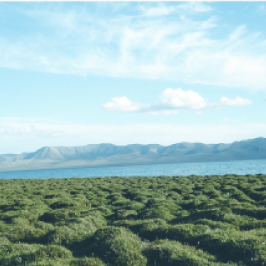 CHATYR-KUL LAKE