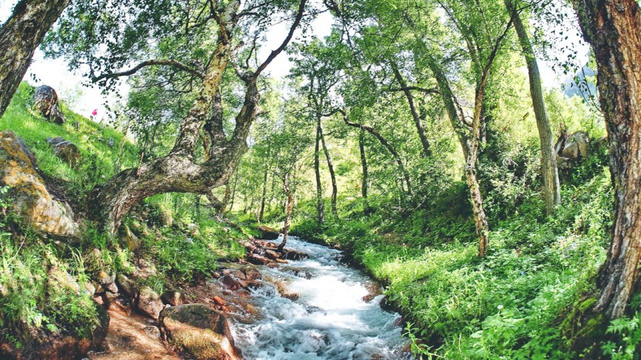 SARKENT NATIONAL NATURE RESERVE