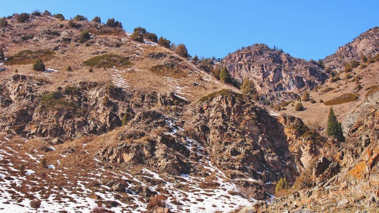 АЛАМҮДҮН КАПЧЫГАЙЫ