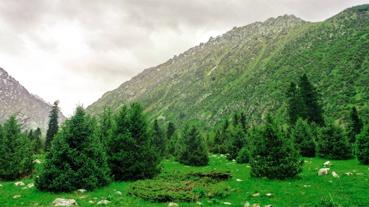 Заповедники / природные парки