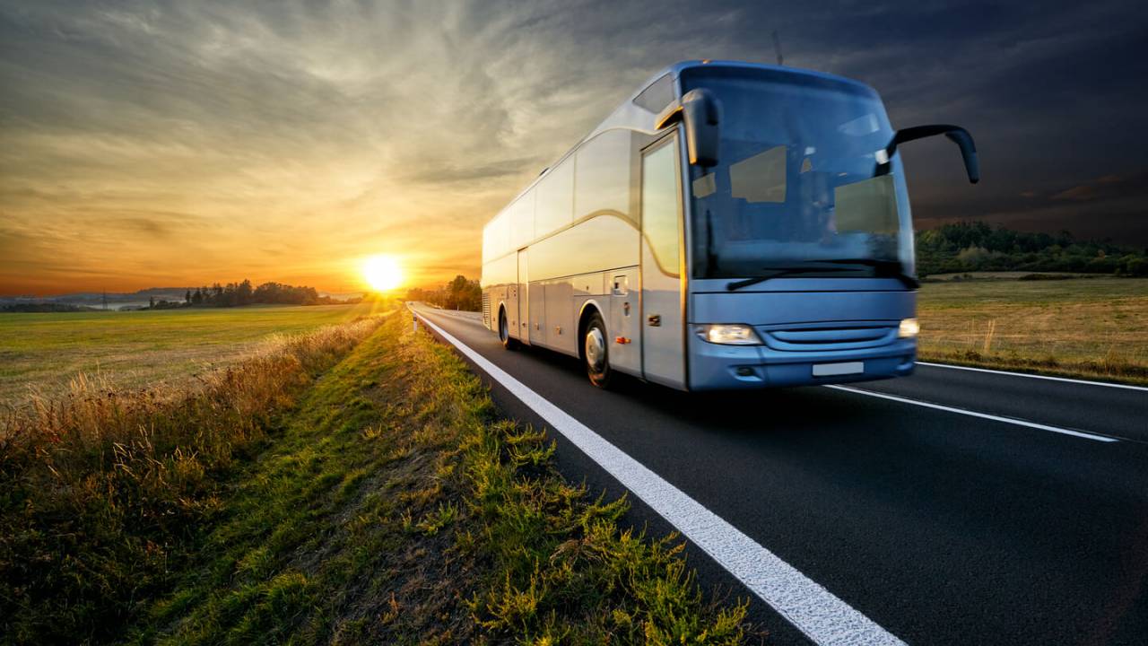 By Bus
