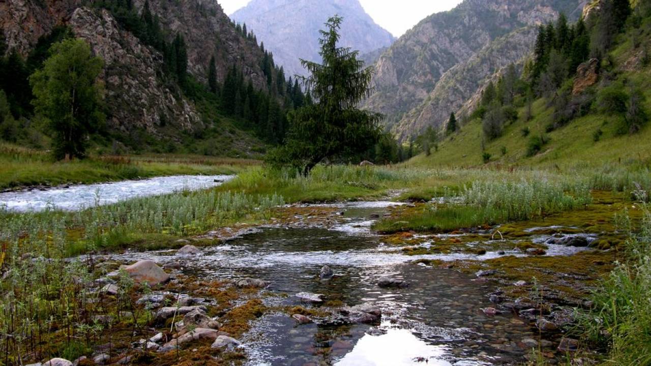Padysh-Ata Reserve